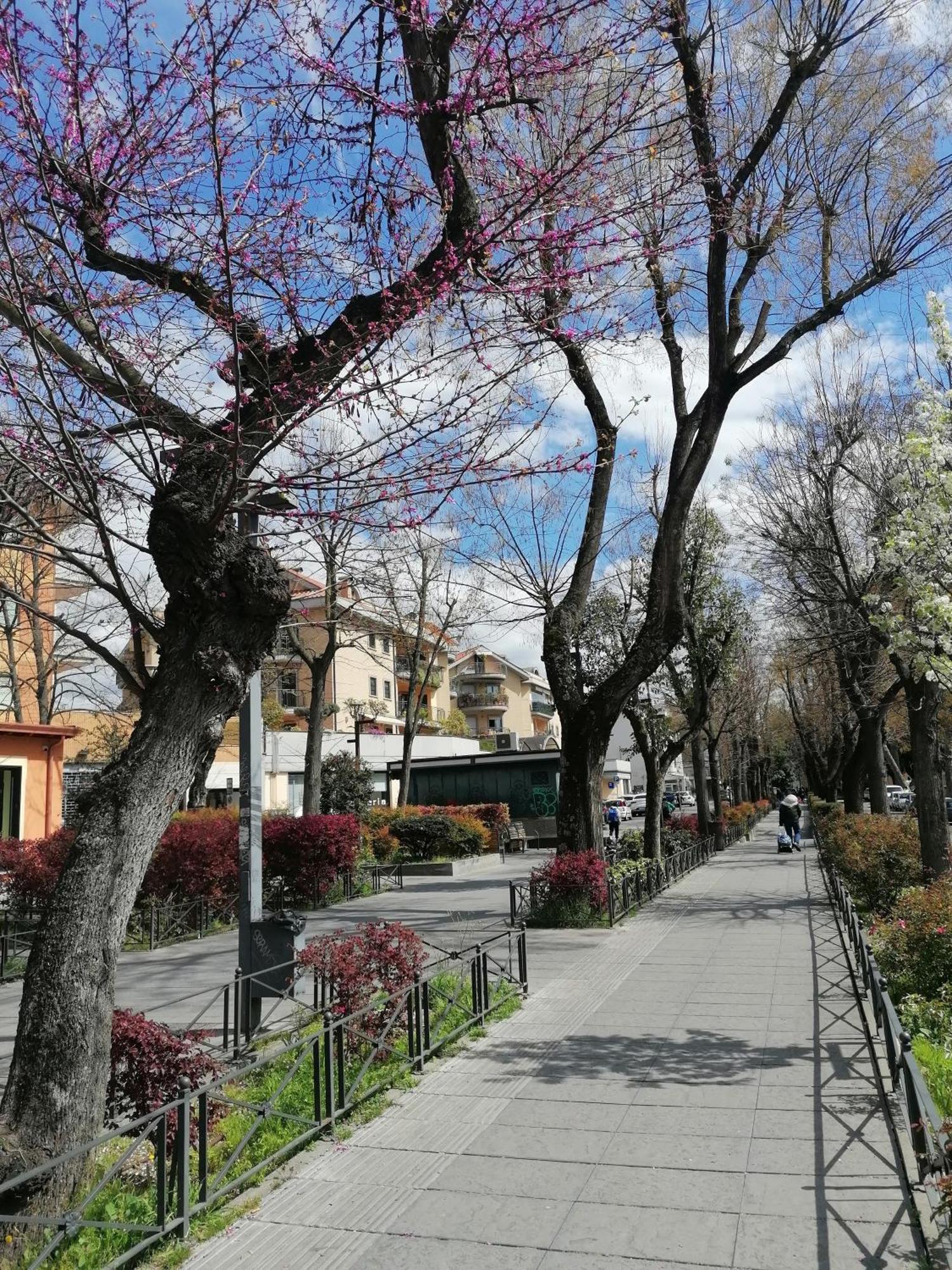 Apartament La Passeggiata Monterotondo  Zewnętrze zdjęcie